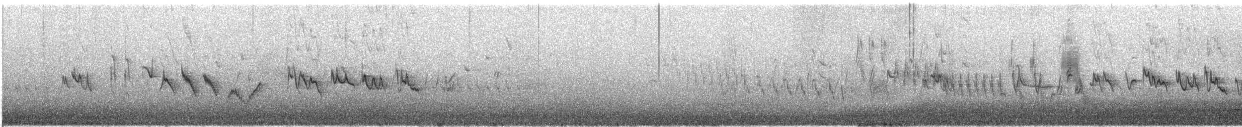 Silvereye - ML628964169