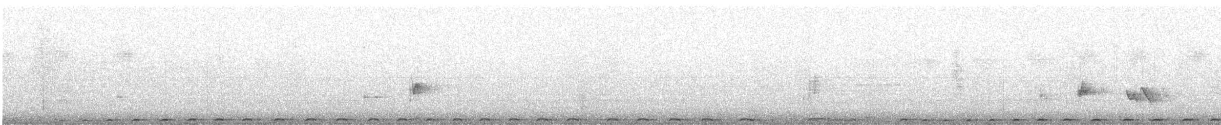 Speckled Pigeon - ML628964726