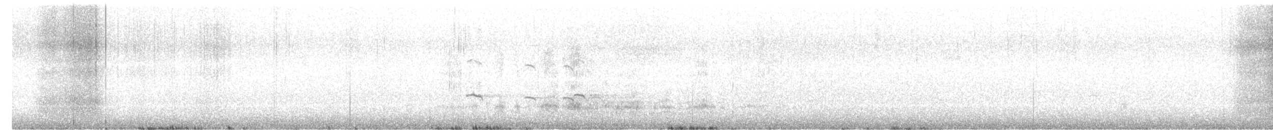 Mallard (Domestic type) - ML628964922