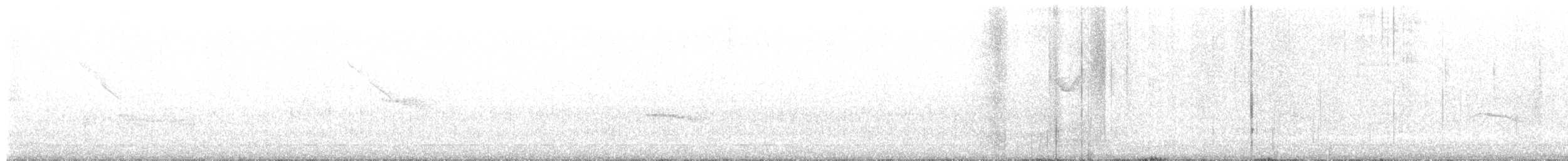 Dusky Warbler - ML628967055