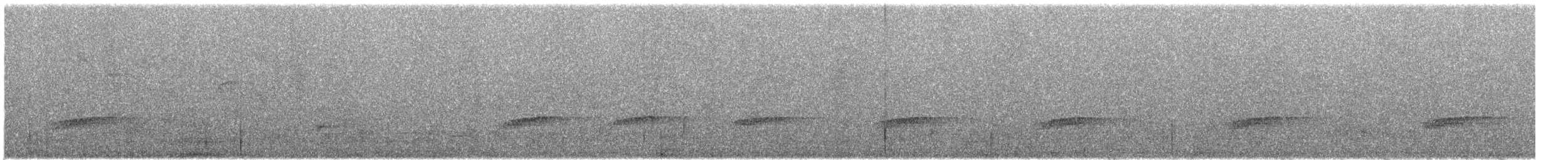 Little Spotted Kiwi - ML628972802