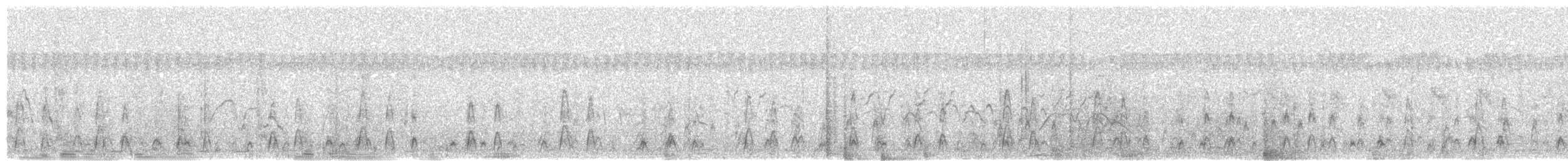 Oie-armée de Gambie (gambensis) - ML628978411