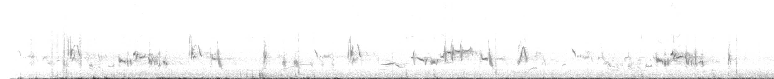 White-crowned Wheatear - ML628982717