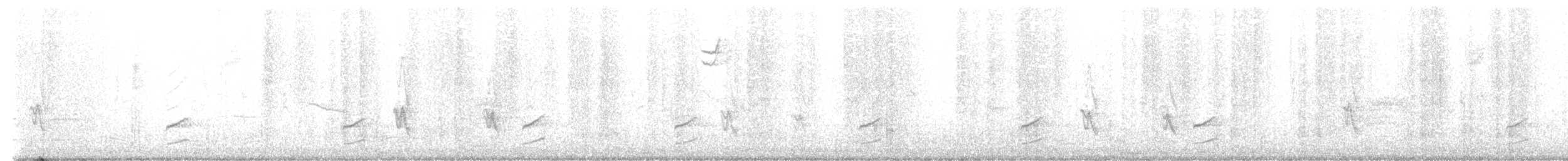 Phainopepla - ML628983421