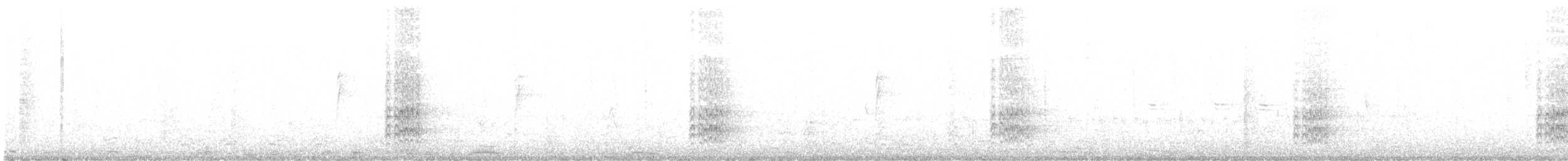 Acorn Woodpecker - ML628983433