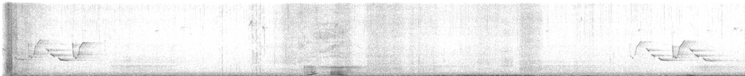 Carolina Wren - ML628993211