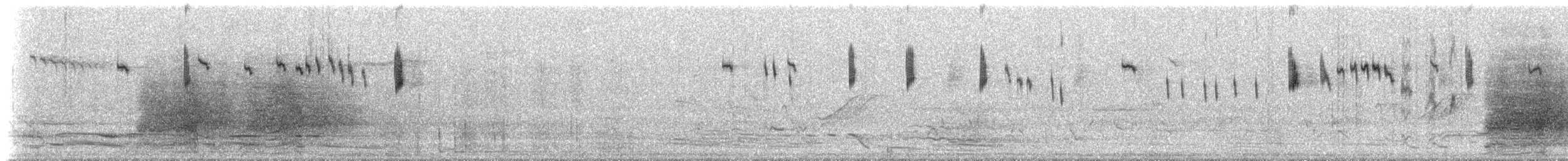 Splendid Fairywren - ML628996178