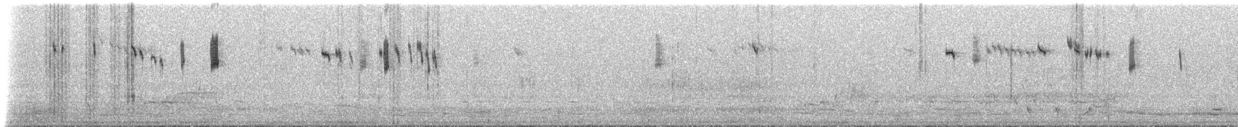 Splendid Fairywren - ML628996311