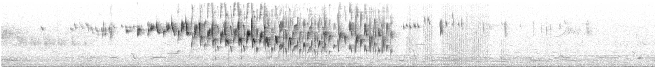 Splendid Fairywren - ML628996453