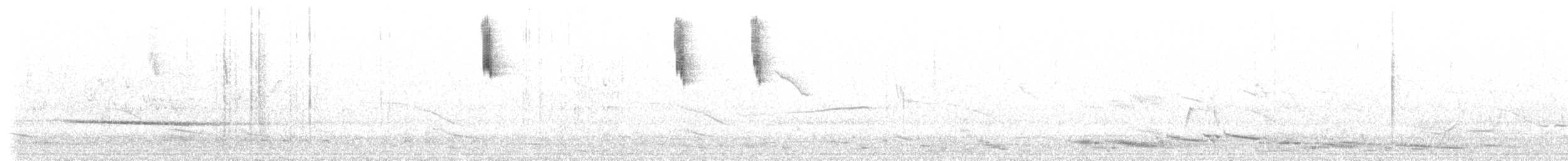 Splendid Fairywren - ML628997059