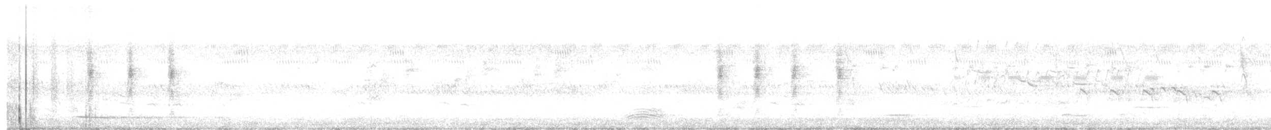 White-eared Monarch - ML628999456