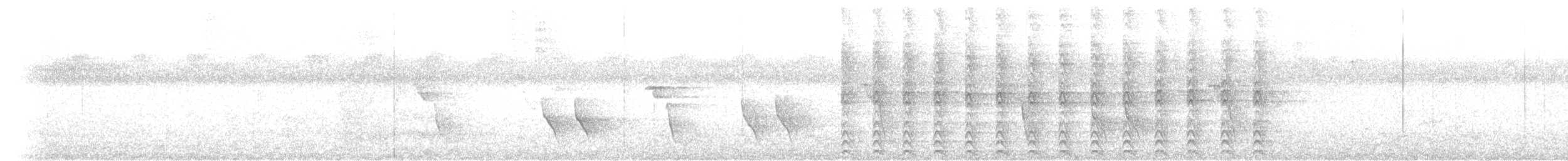 Bicolored Hawk - ML629002560