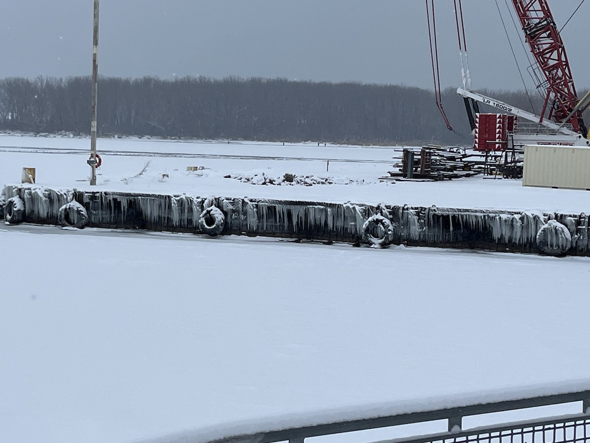 Канад галуу - ML629004613