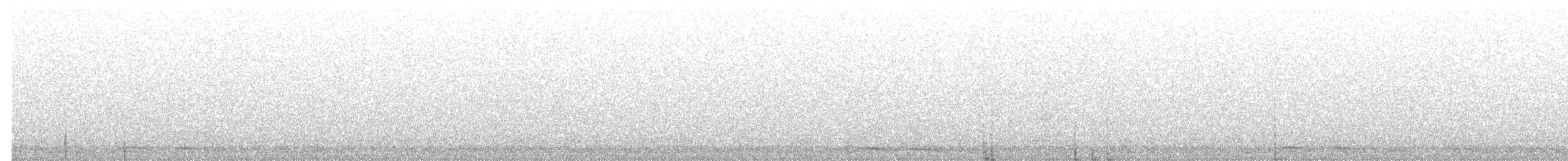 Tasmanian Boobook - ML629005936