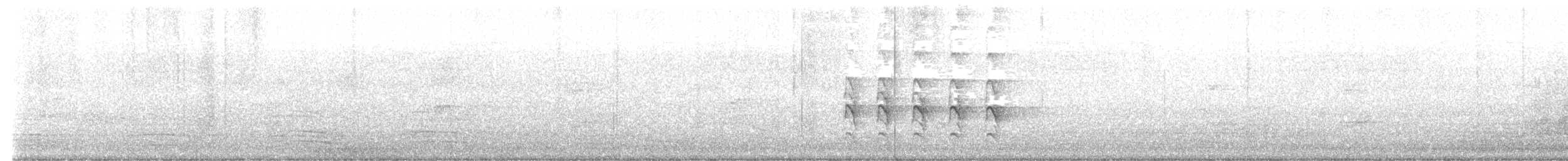 Sacred Kingfisher - ML629007296