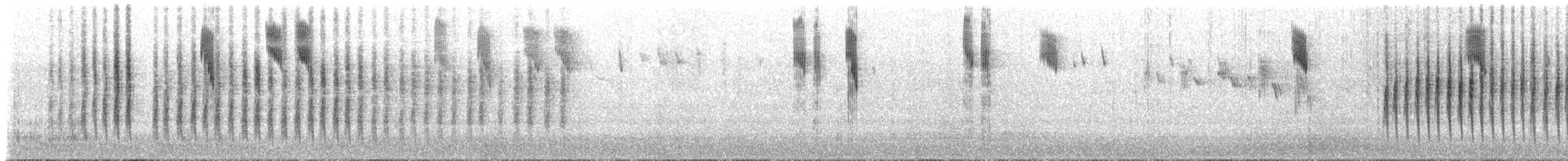 Splendid Fairywren - ML629008233