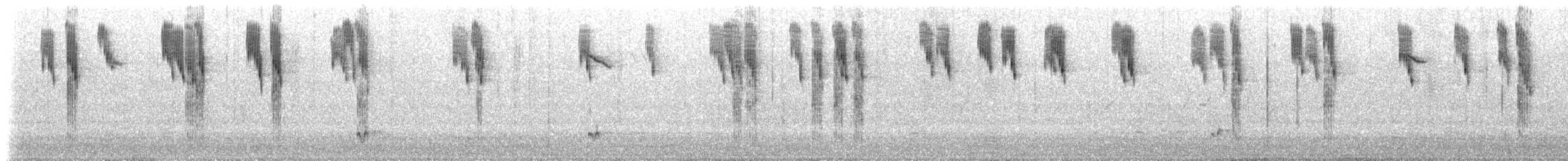 Splendid Fairywren - ML629008748