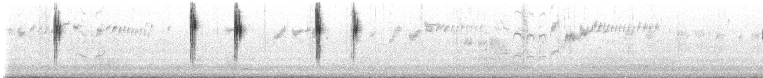 ムナグロオーストラリアムシクイ（assimilis／bernieri） - ML629008871