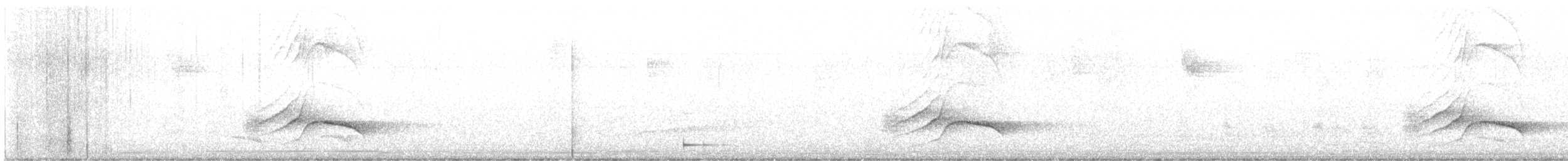 Chestnut-sided Shrike-Vireo - ML629011438