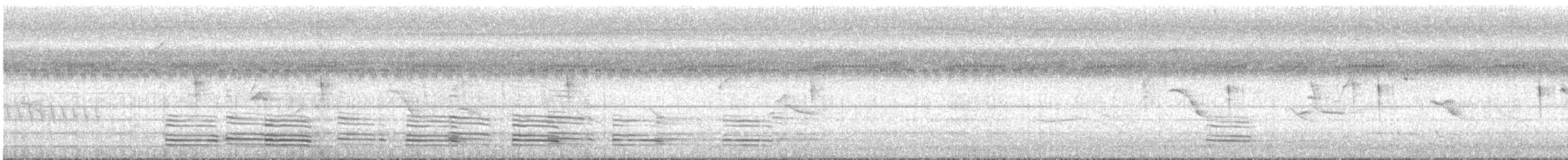 Ibis Rabudo - ML629011918