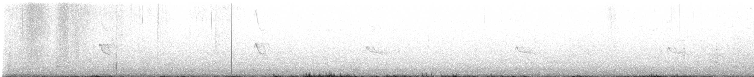 Black Phoebe - ML629020666