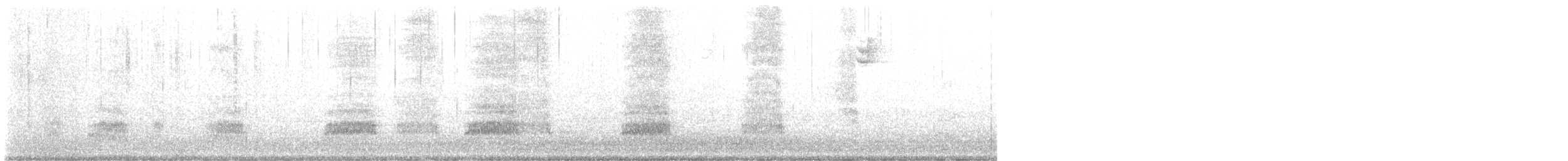 Mallard (Domestic type) - ML629023820