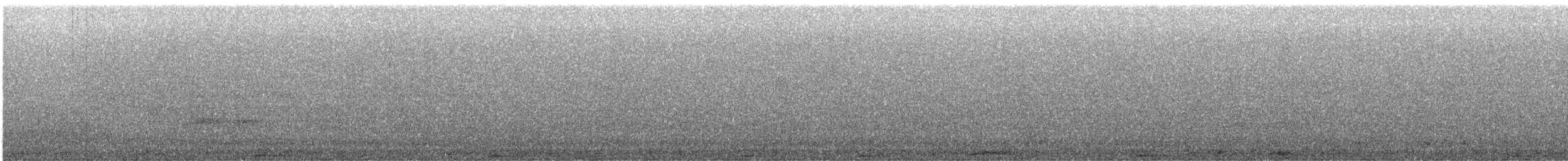 Mottled Owl - ML629024040