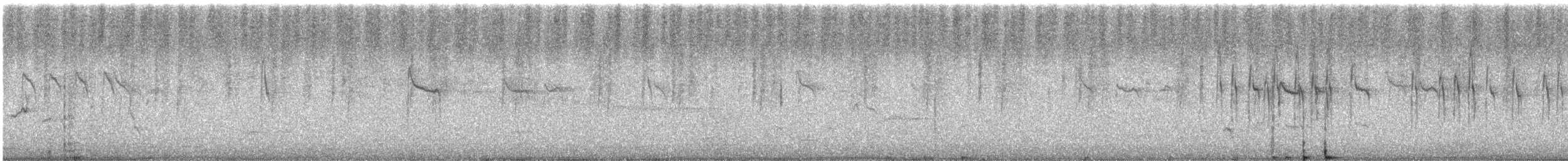 Varied Sittella (Black-capped) - ML629027115