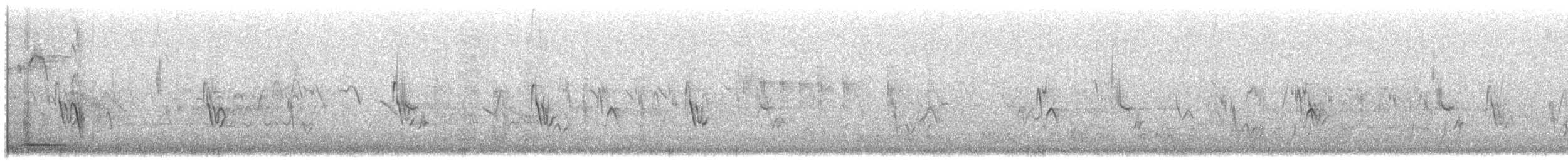 boerspurv - ML629029475