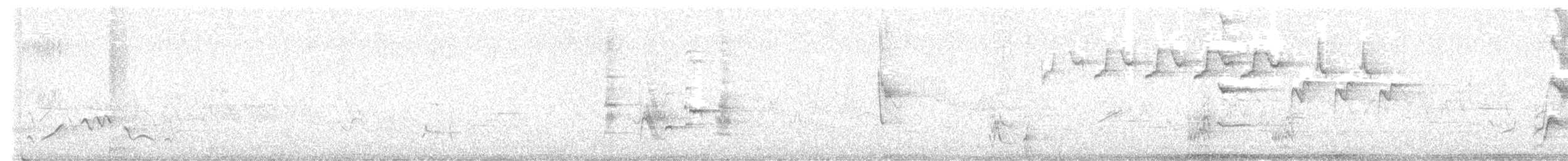 Black-and-white Warbler - ML629030495