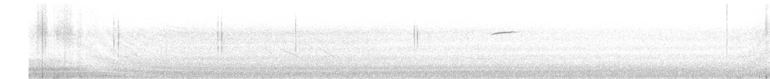 Cinclode à ventre sombre - ML629034528