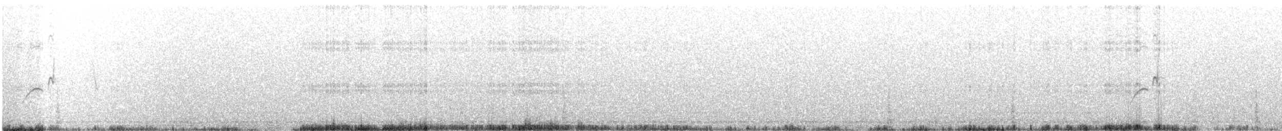 Bearded Tachuri - ML629035062