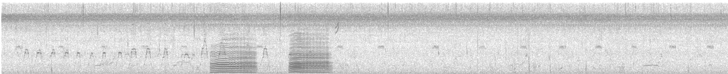 Orinoco Goose - ML629035266