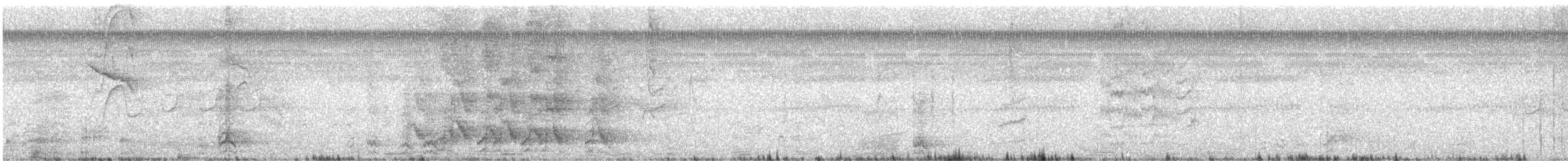 Cinereous Becard - ML629036177