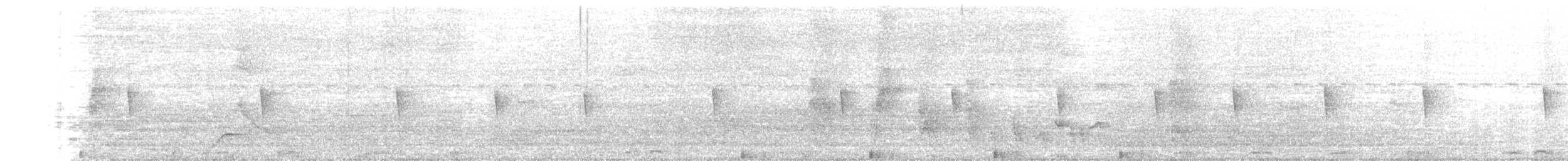 kentuckyparula - ML629039869