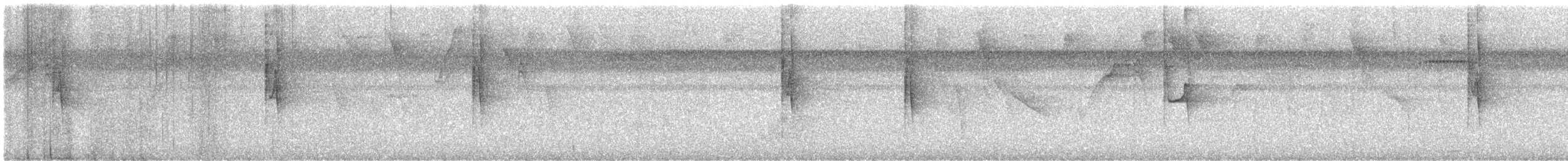 Black-throated Antbird - ML629041559