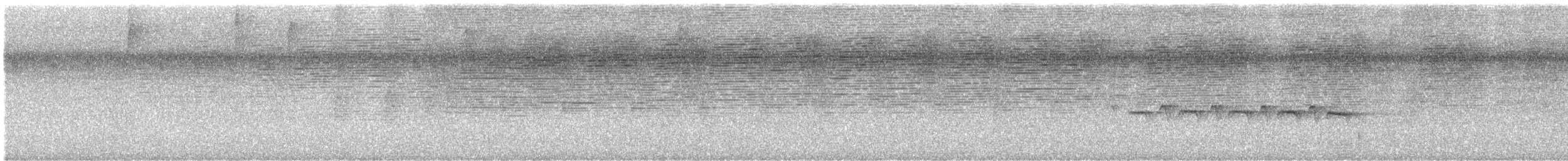 Spot-backed Antbird - ML629041587