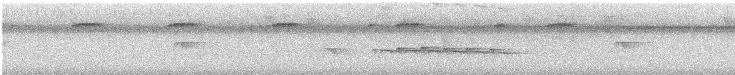 Spot-backed Antbird - ML629041597