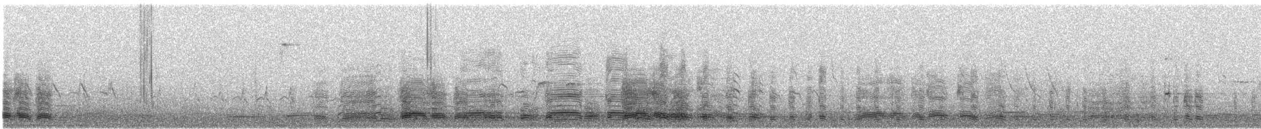 Graylag Goose - ML629045178