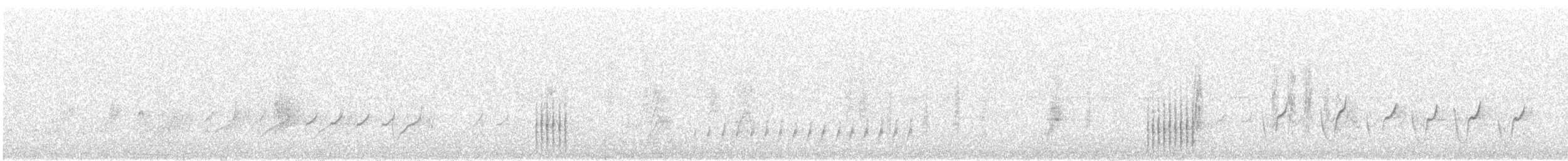 iranie bělohrdlá - ML629046169