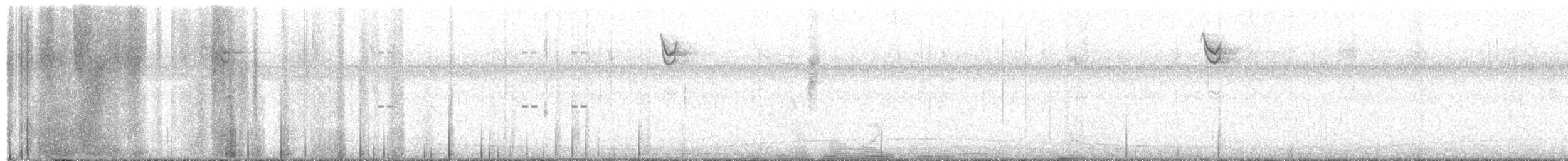 Couch's Kingbird - ML629049244