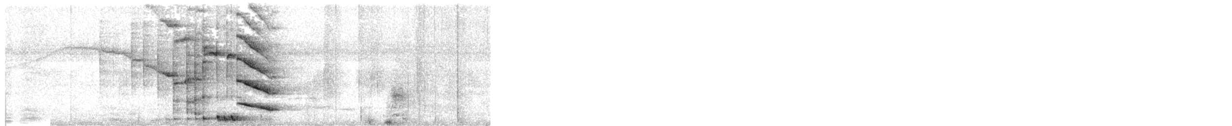 チャバラオオツリスドリ - ML629049375