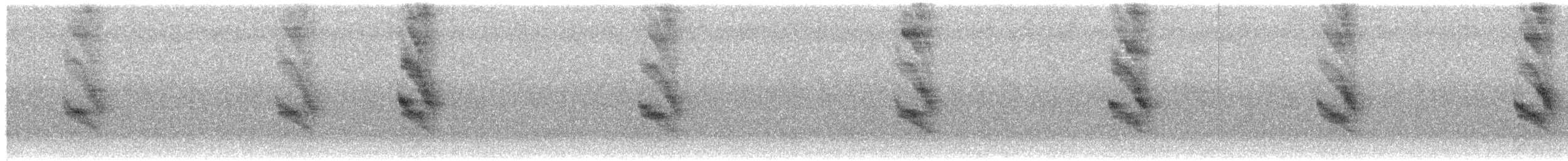 Caura Antbird - ML629049609