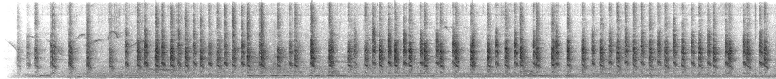 Râle gris (groupe longirostris) - ML629050374