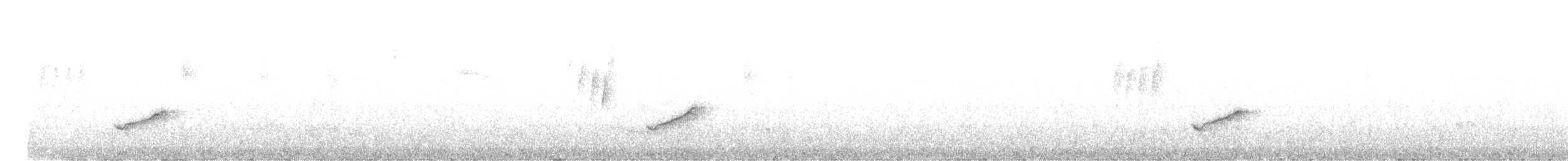 Scale-crested Pygmy-Tyrant - ML629055647