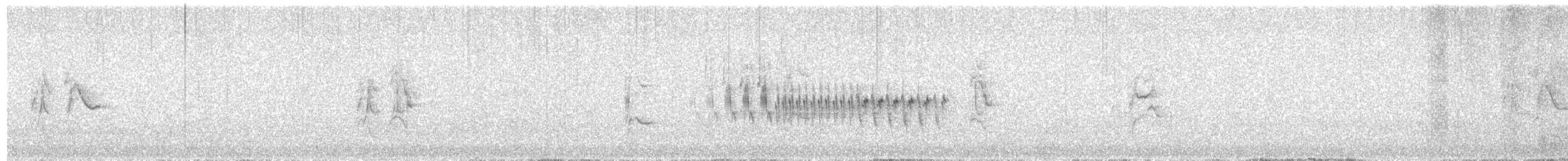 Bartzeisig - ML629061379