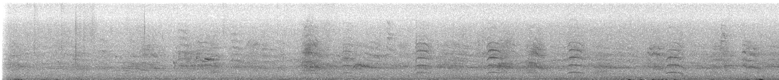 Brown-hooded Gull - ML629070775