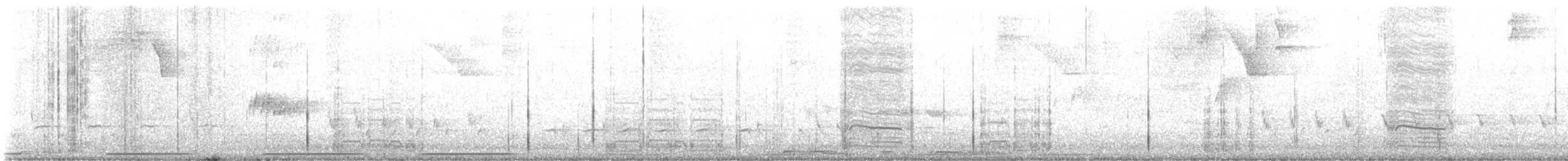 White-winged Dove - ML629071874