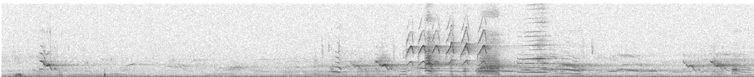 Crécerelle d'Australie - ML629074725