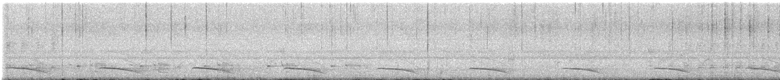 Pearl-spotted Owlet - ML629078641